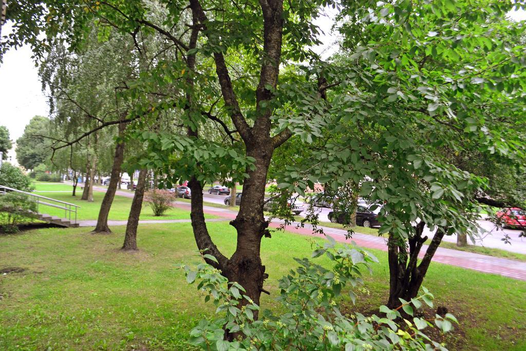 Siauliai City Apartment Esterno foto